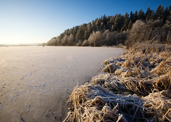 Paesaggio del lago in inverno — Foto Stock