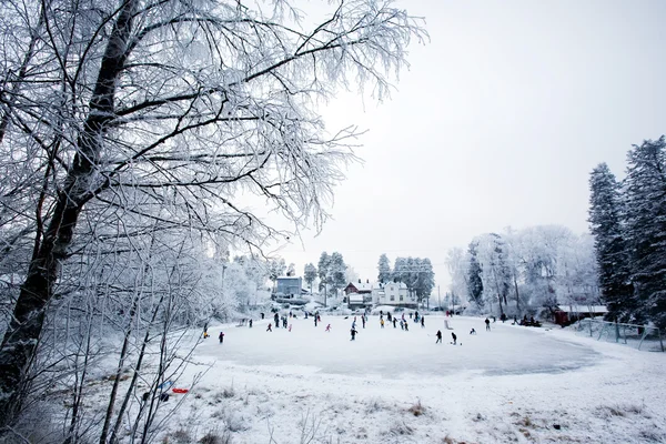Diversão de inverno — Fotografia de Stock