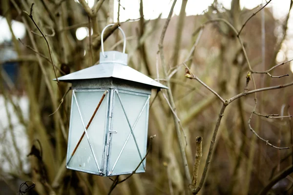 Lanterna florestal — Fotografia de Stock