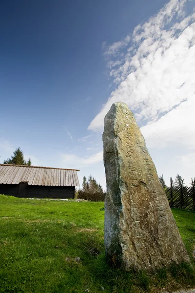 Viking Runes — Stock Photo, Image