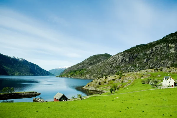 Сельская Норвегия — стоковое фото