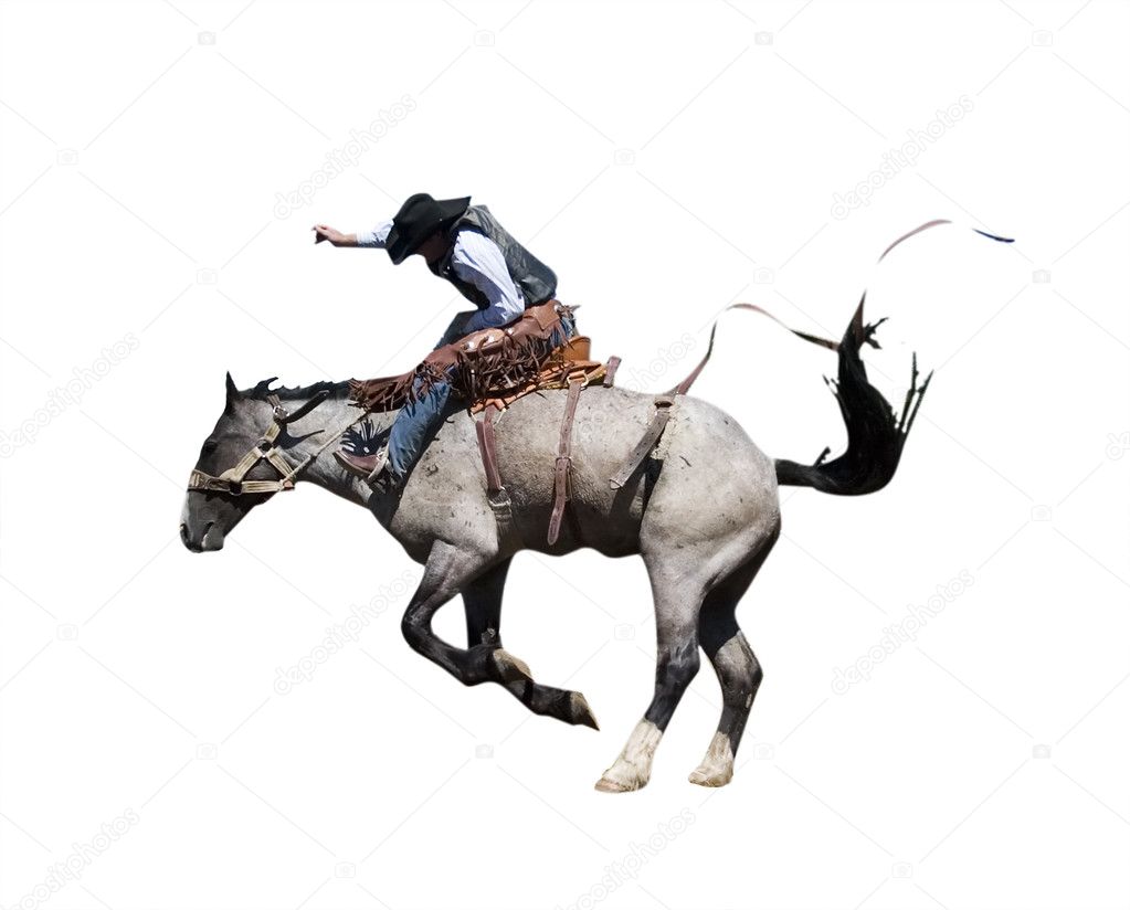 Saddle Bronc with Clipping Path