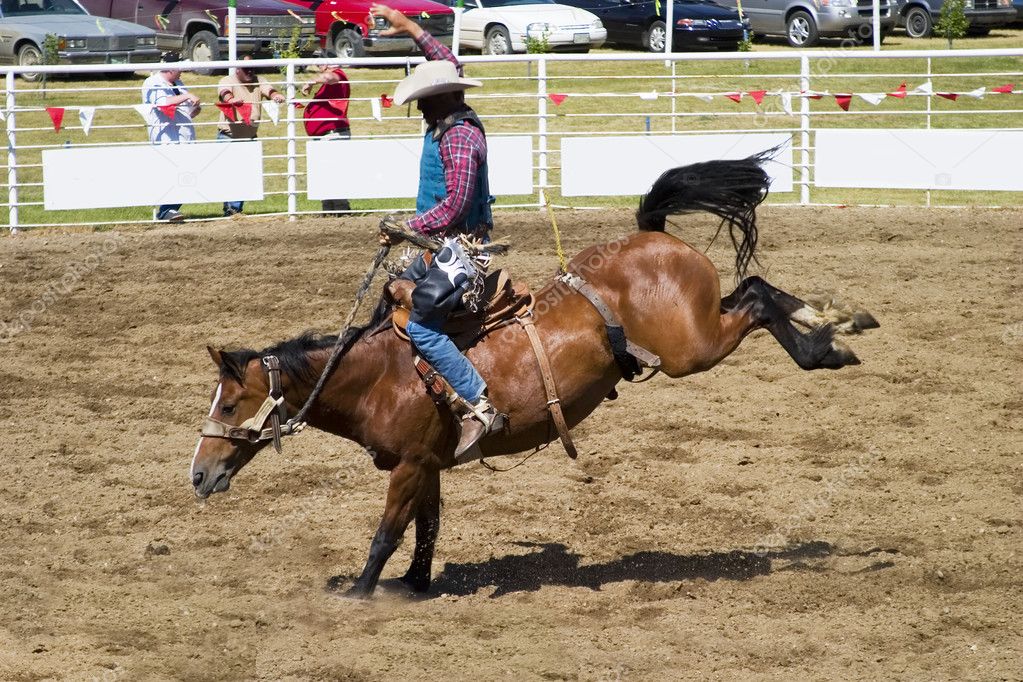 Saddle Bronc - Stock Photo, Image. 