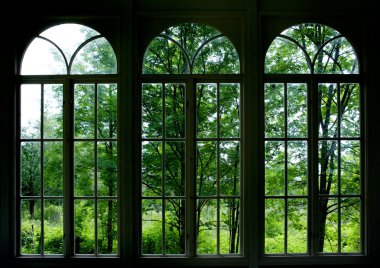Garden Window clipart