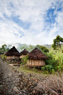 geleneksel köy