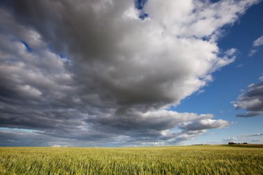 Prairie Landscape clipart