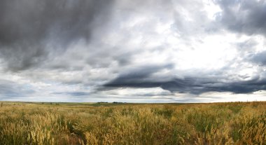 Dramatic Prairie Landscape clipart