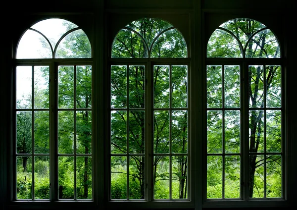 花园的窗口 — 图库照片