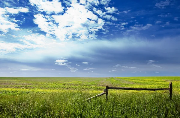 Prairie краєвид — стокове фото