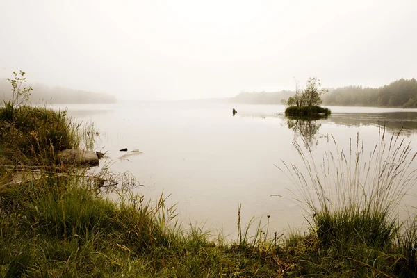 Туман на озере — стоковое фото