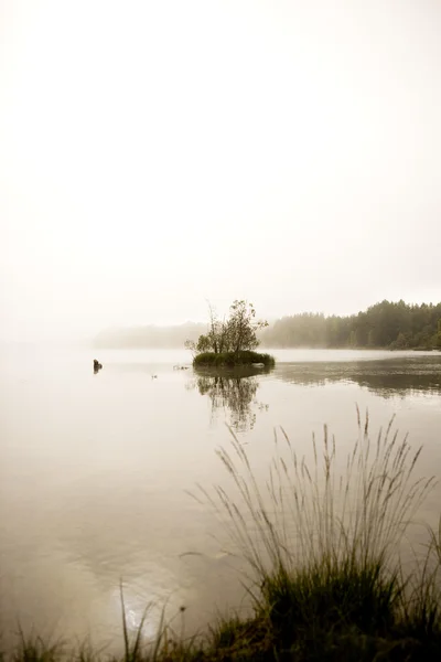 穏やかな湖 — ストック写真
