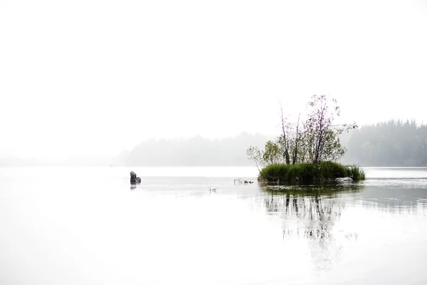 穏やかな湖 — ストック写真