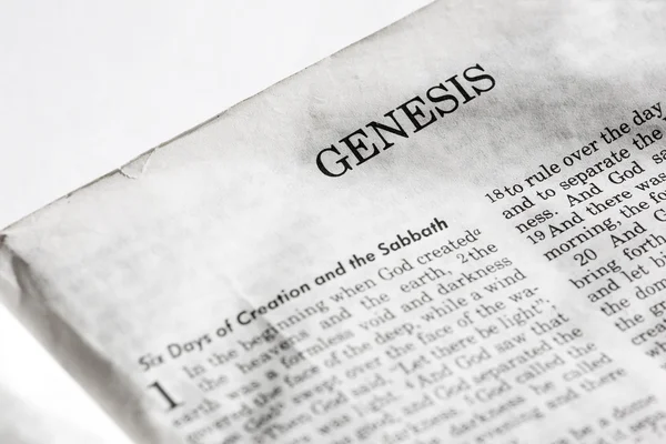 Genesis — Stockfoto