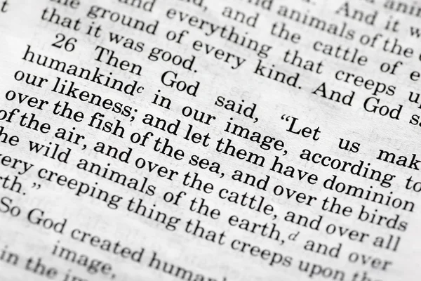 Genesis 1:26 — Stok fotoğraf