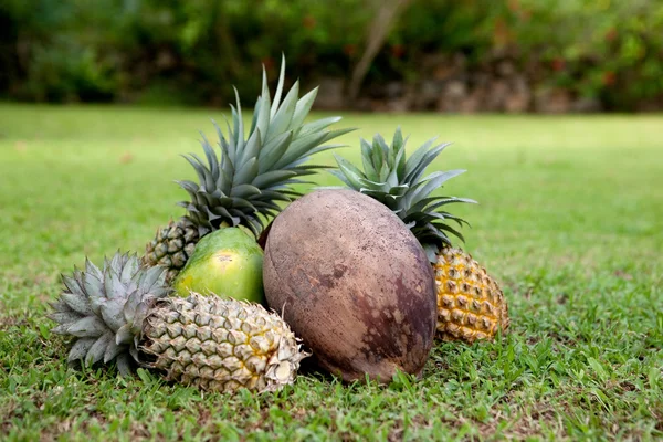 Tropical Fruit — Stock Photo, Image