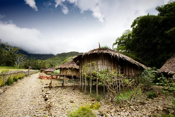 Dorp hut — Stockfoto