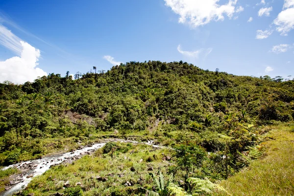Tropische Berglandschaft — Stockfoto