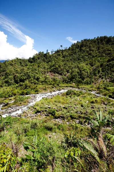 열대 산 풍경 — 스톡 사진