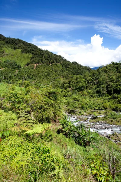 Tropische berglandschap — Stockfoto