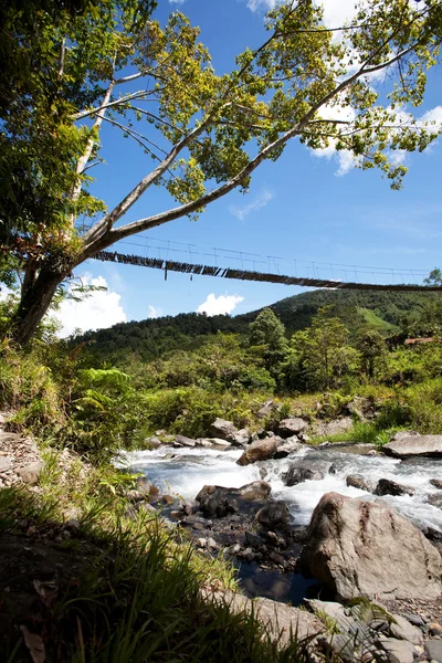 Mountain River with Hanging Bridge — Stock Photo, Image
