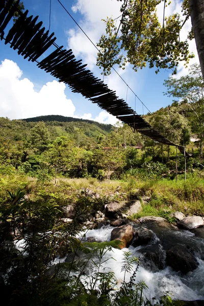 Fiume di montagna con ponte sospeso — Foto Stock