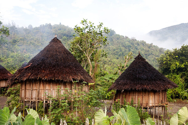 Traditional Hut