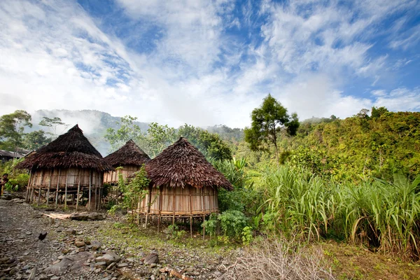 Traditionella hut — Stockfoto