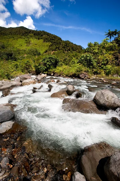 Río de montaña fresca —  Fotos de Stock