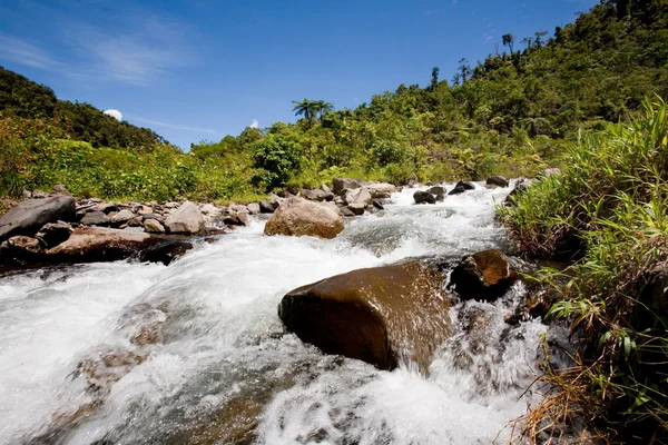 Río de montaña fresca — Foto de Stock