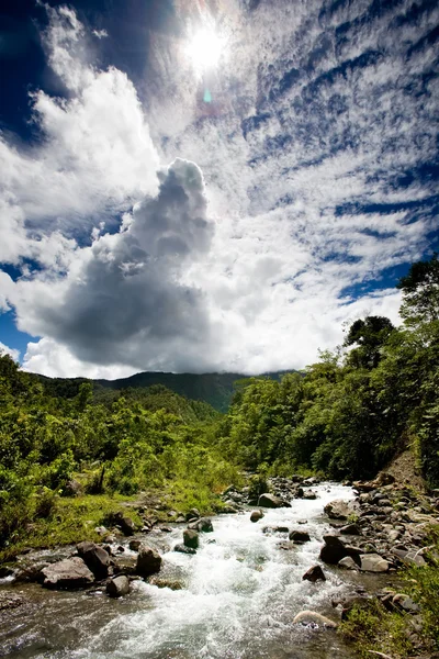 Rio da Montanha Fresca — Fotografia de Stock