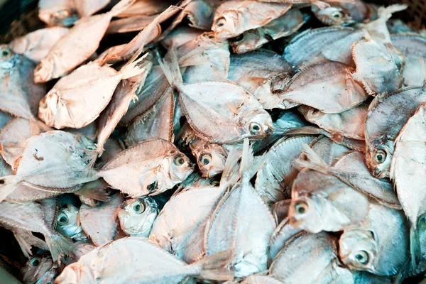 Dried Fish Background — Stock Photo, Image