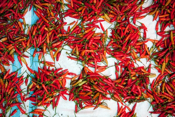 Peppers at Market — Stock Photo, Image