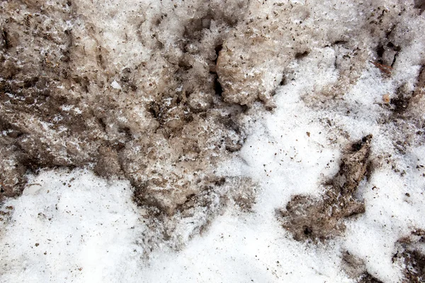 Dirty Snow Background — Stock Photo, Image
