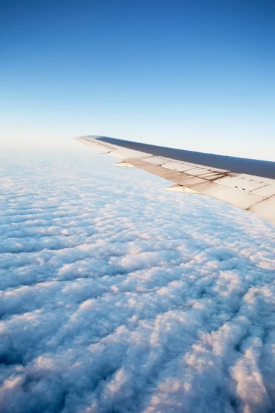 Vliegtuig in vleugel — Stockfoto