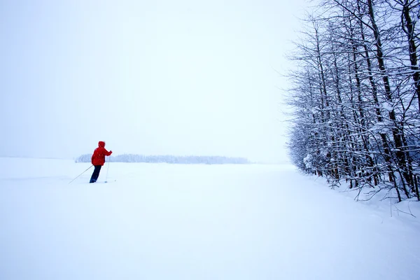 Winter ski ensamhet — Stockfoto