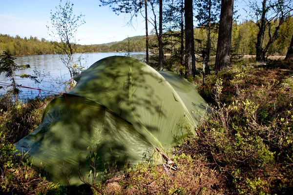 Tent in het bos — Stockfoto