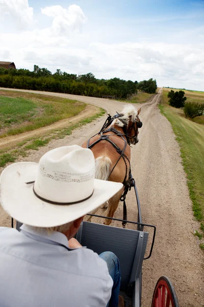 Horse and Buggy — Stock Photo, Image
