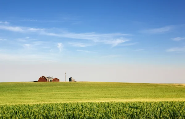 Prairies Terres agricoles — Photo