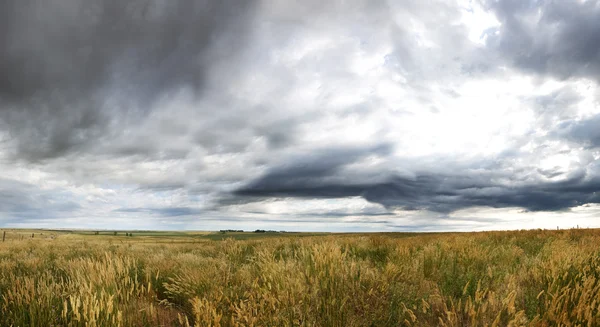 Dramatische prairie landschap — Stockfoto