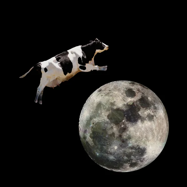 Vaca saltando sobre a Lua — Fotografia de Stock