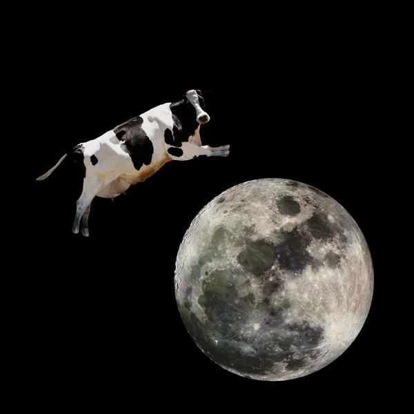 Корова перестрибує Місяць — стокове фото