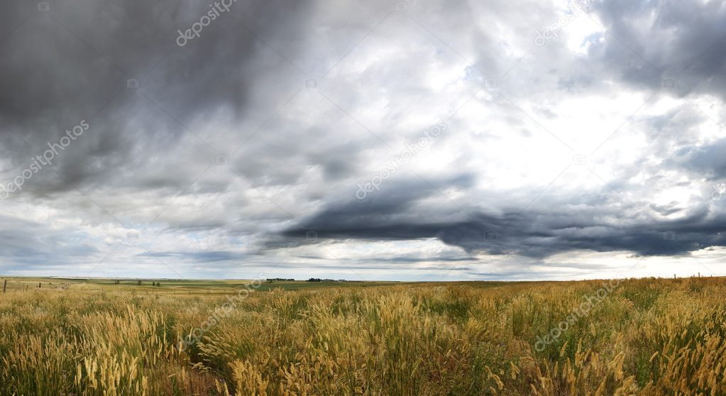 Dramatic Prairie Landscape