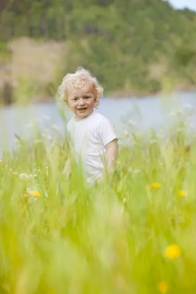 Маленький ребенок в высокой траве — стоковое фото