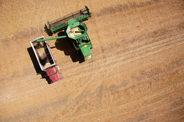 Caminhão de grãos e colheitadeira — Fotografia de Stock