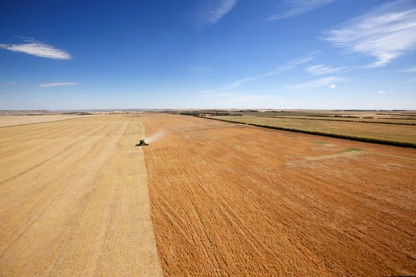 Aerial View of Harvesting — Stock Photo, Image