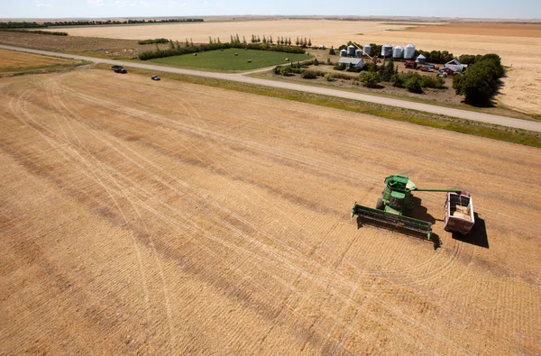 stock image Harvest and Farm