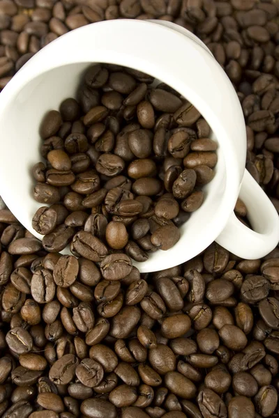 Szemes kávé szét vannak szórva a fehér kupa — Stock Fotó