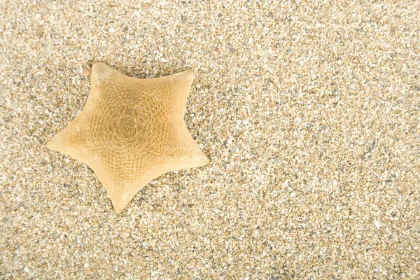 Зірка на піску — стокове фото
