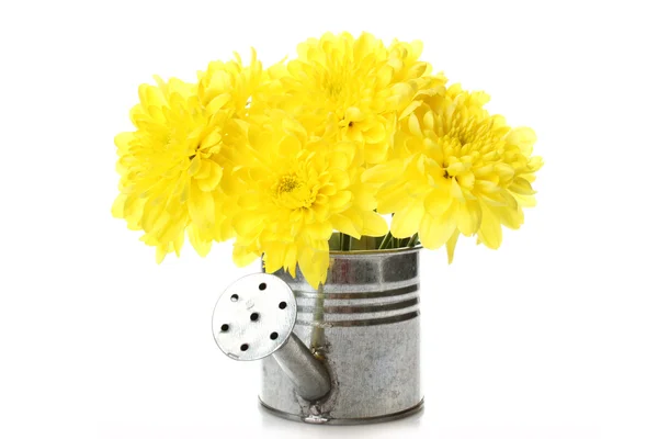 Arrosoir avec fleurs jaunes — Photo