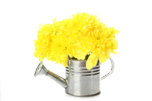 Annaffiatoio con fiori gialli — Foto Stock